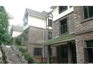 別墅安防監控系統
